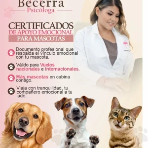 Servicio de valoración psicológica para determinar la pertinencia del acompañamiento mediante un animal de apoyo emocional, incluyendo solicitudes relacionadas con viajes nacionales e internacionales. Servicio presencial o virtual - Psicóloga Pilar Becerra